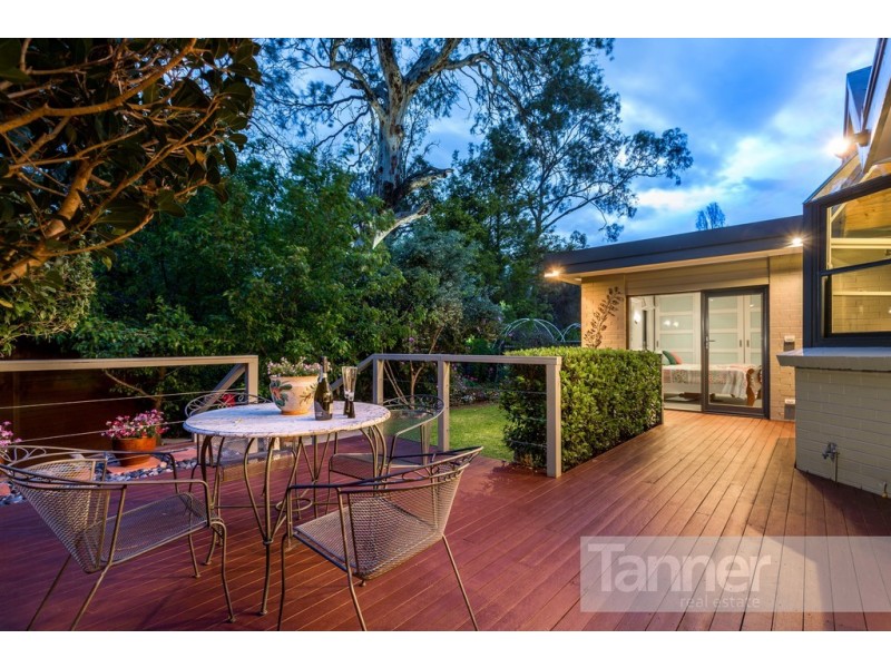 1 Lochness Avenue, Torrens Park SA 5062