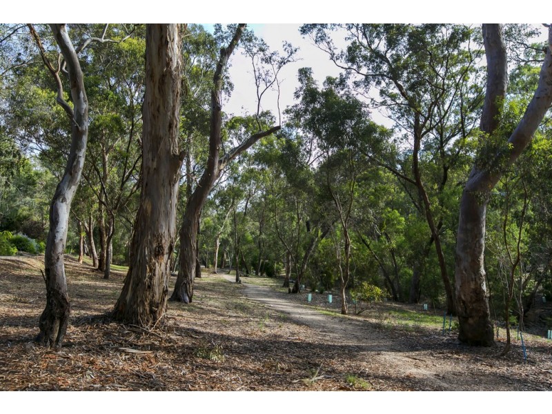 21 Dunn Avenue, Glenalta SA 5052