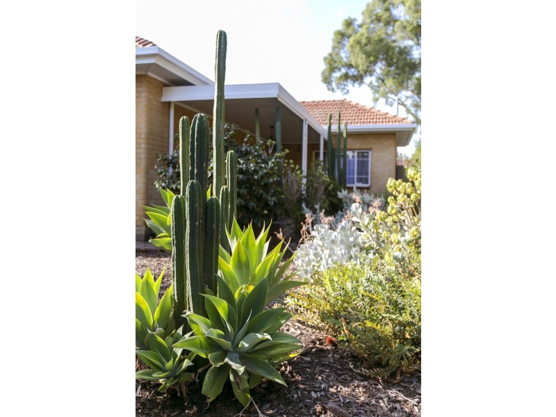 104 Corunna Avenue, Melrose Park SA 5039