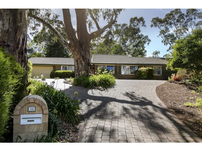 12 Heath Lane, Flagstaff Hill SA 5159