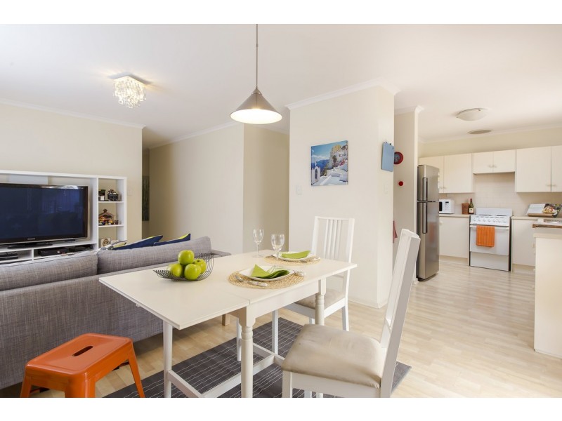 41 McInerney Avenue, Mitchell Park SA 5043