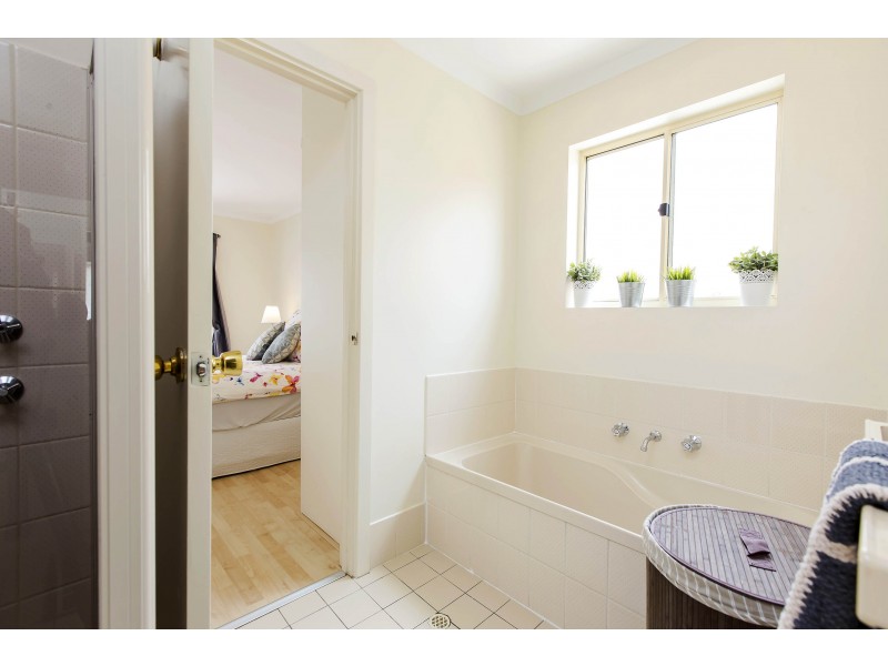 41 McInerney Avenue, Mitchell Park SA 5043