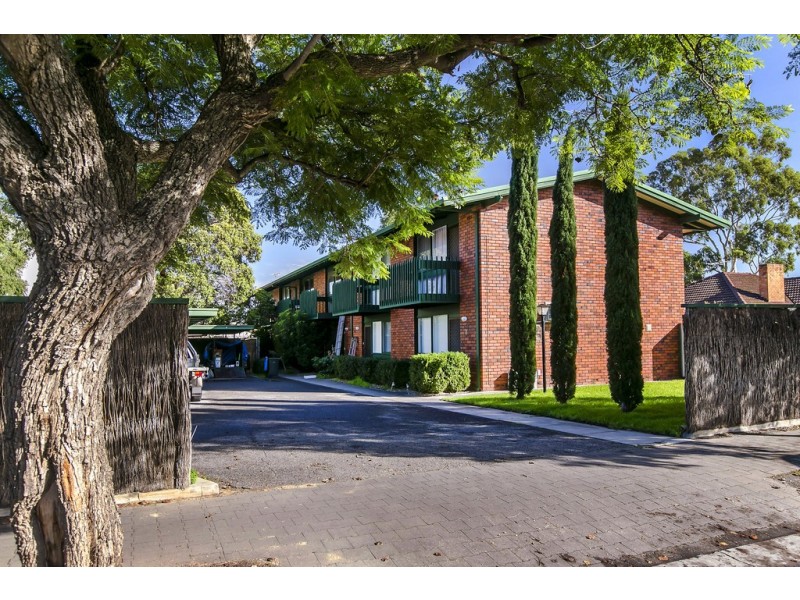 6 / 24 Price Avenue, Lower Mitcham SA 5062