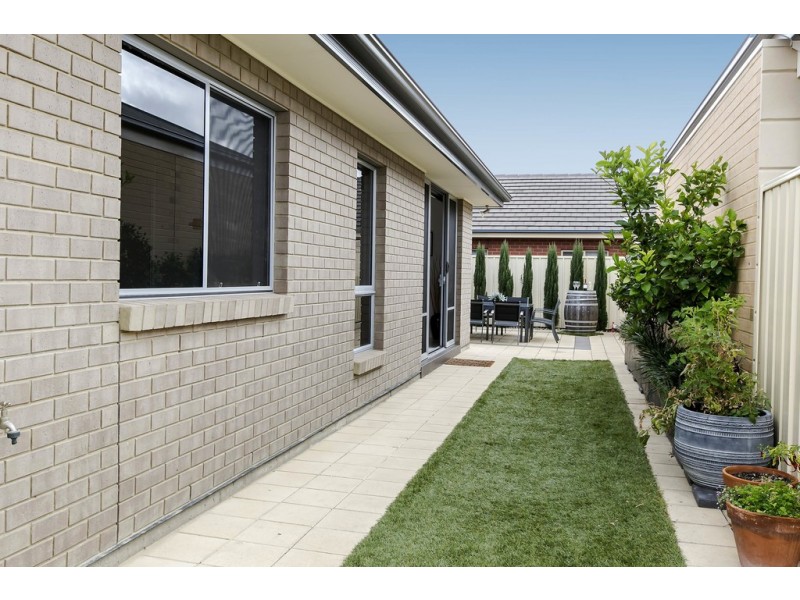 6 Errington Street, North Plympton SA 5037
