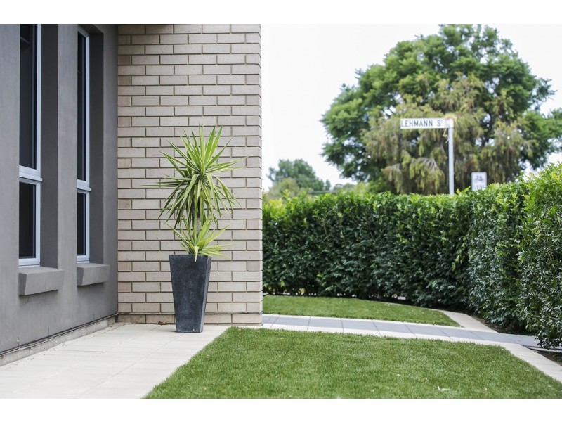 6 Errington Street, North Plympton SA 5037