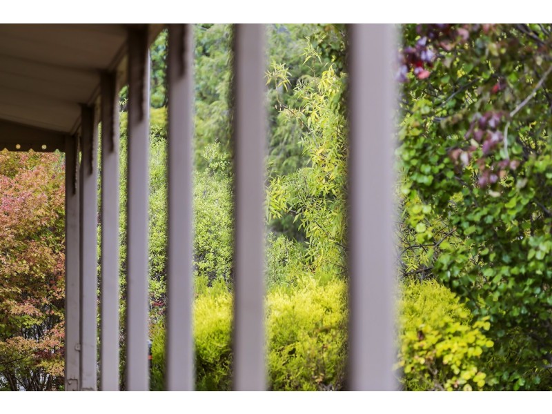 39 Woodlea Drive, Aberfoyle Park SA 5159