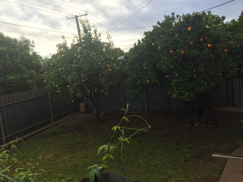 1 Kenton Ave, Oaklands Park SA 5046