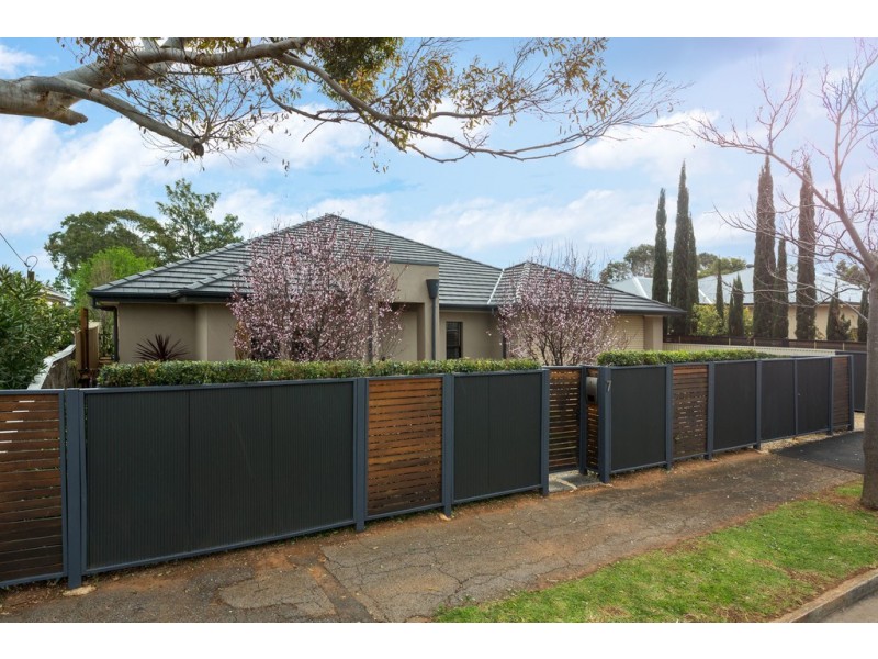 7 Hope Street, Daw Park SA 5041