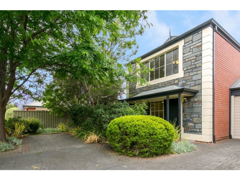 1/55 Le Hunte Street, Wayville SA 5034
