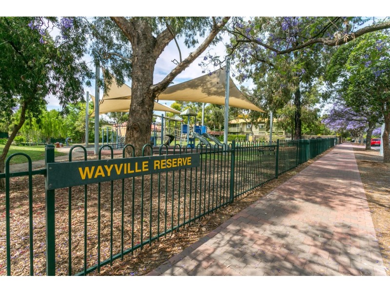 1/55 Le Hunte Street, Wayville SA 5034