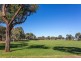 50 Waterman Terrace, Mitchell Park SA 5043