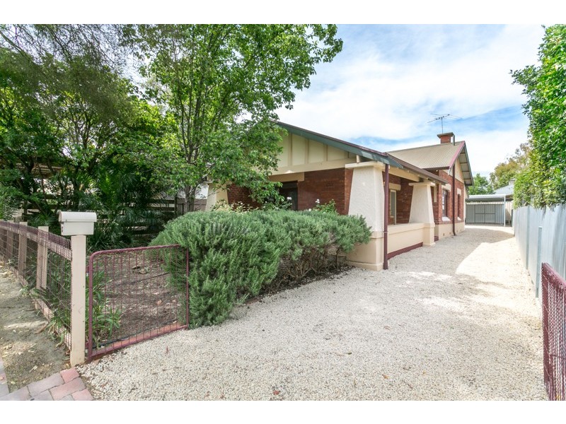 13 Olive Street, Parkside SA 5063