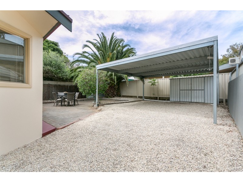 13 Olive Street, Parkside SA 5063