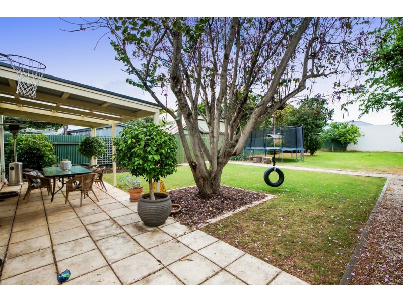 24 Angus Street, Goodwood SA 5034