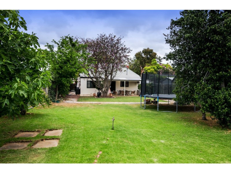 24 Angus Street, Goodwood SA 5034