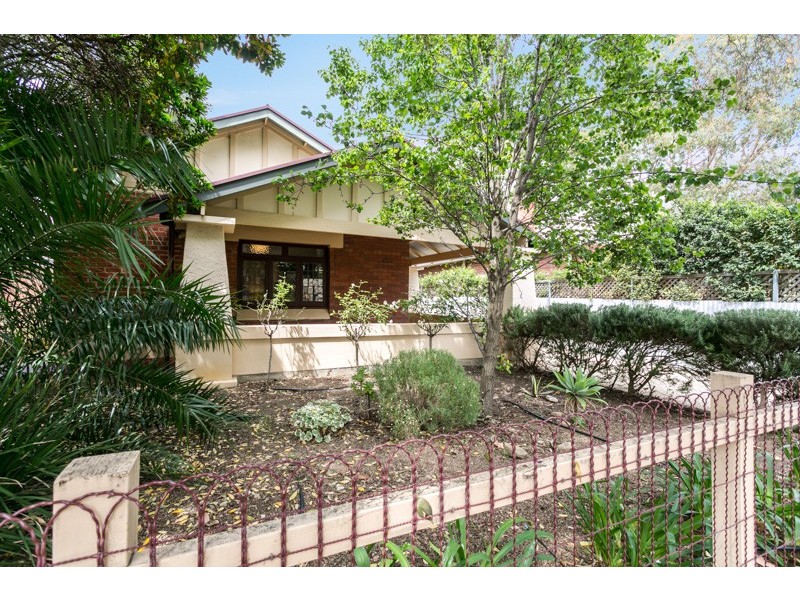 13 Olive Street, Parkside SA 5063