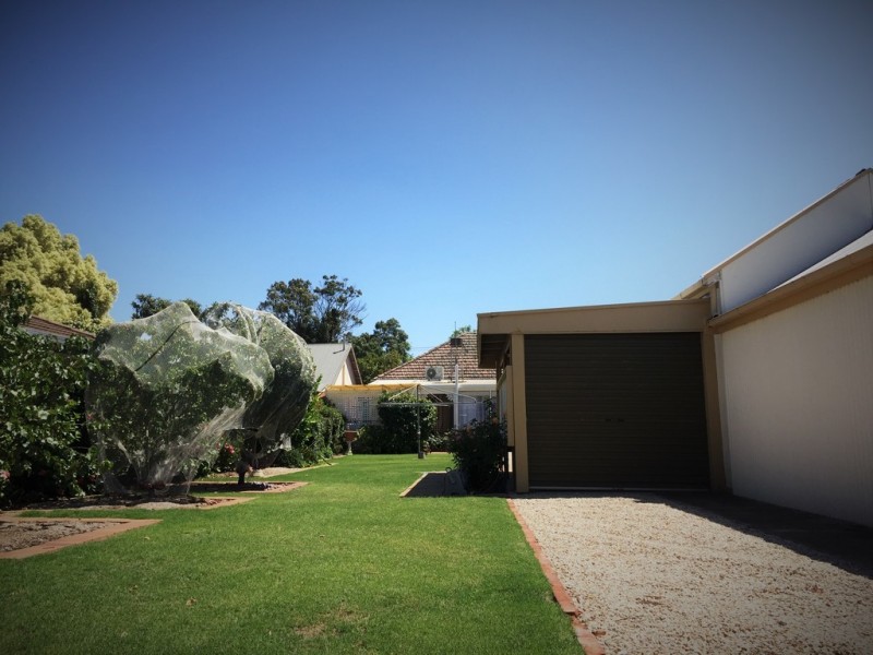 49 Mills Street, Clarence Park SA 5034