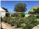 49 Mills Street, Clarence Park SA 5034