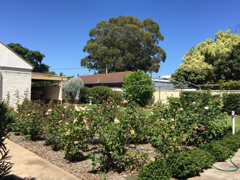 49 Mills Street, Clarence Park SA 5034