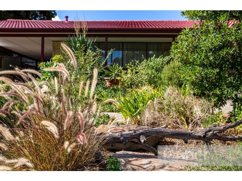 21 Hamilton Crescent, Aberfoyle Park SA 5159