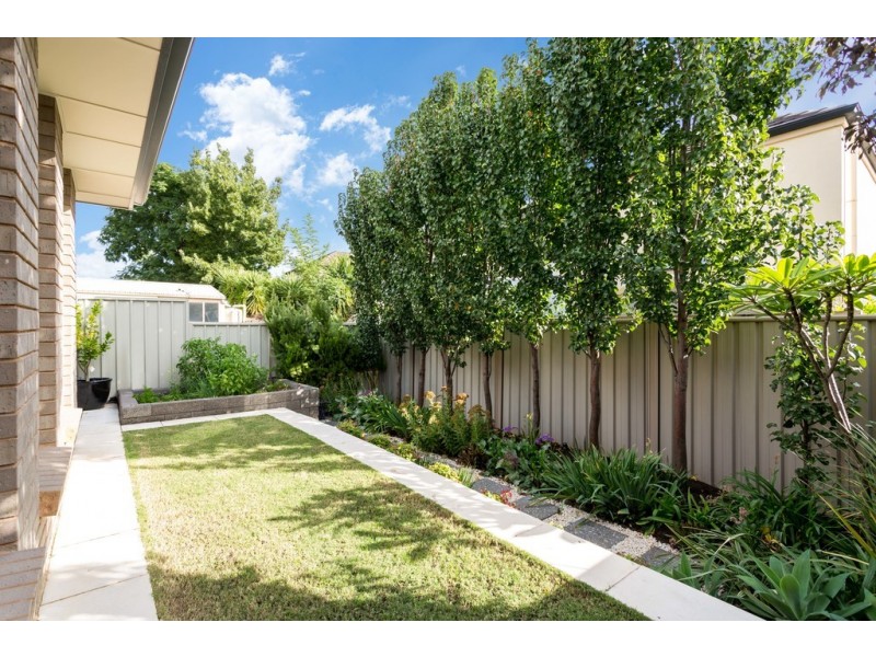 237A Portrush Road, Norwood SA 5067