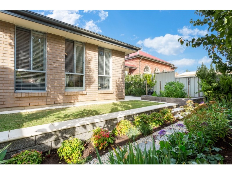 237A Portrush Road, Norwood SA 5067