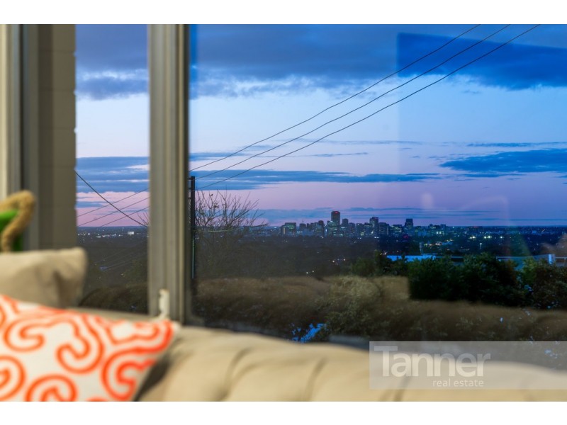 14 Alton Avenue, Torrens Park SA 5062