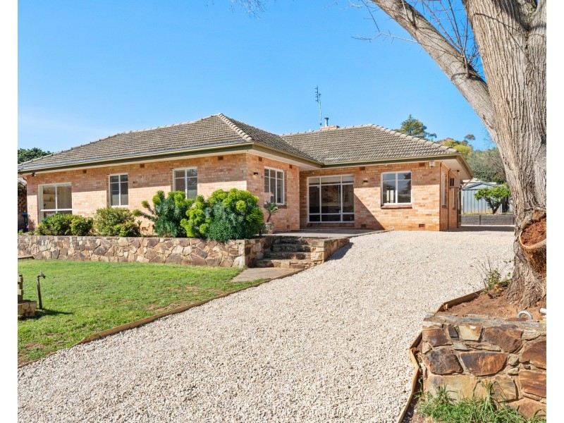 1 Pitcairn Ave, Urrbrae SA 5064