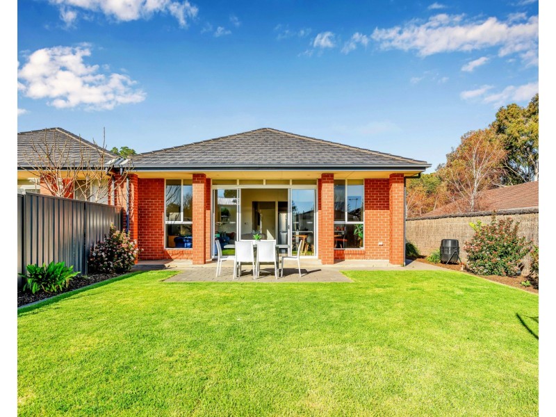 37 Fife Avenue, Torrens Park SA 5062