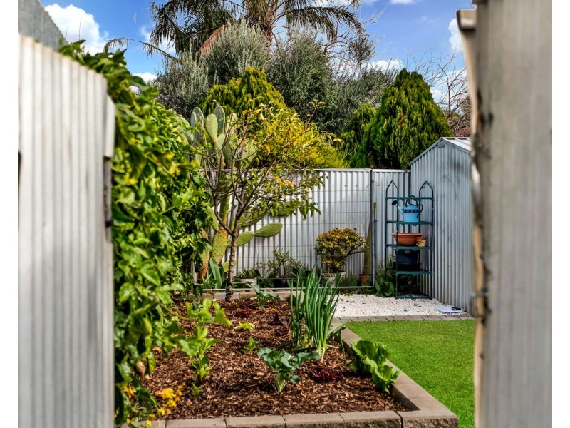 3/10 Kelvin Avenue, Hectorville SA 5073