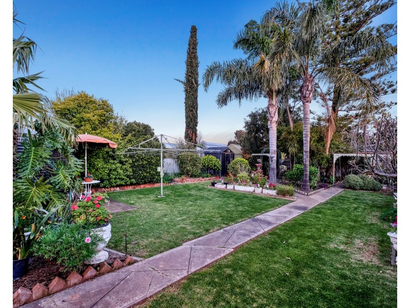 16 Gladys Street, Clarence Gardens SA 5039