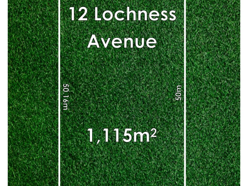 12 Lochness Avenue, Torrens Park SA 5062