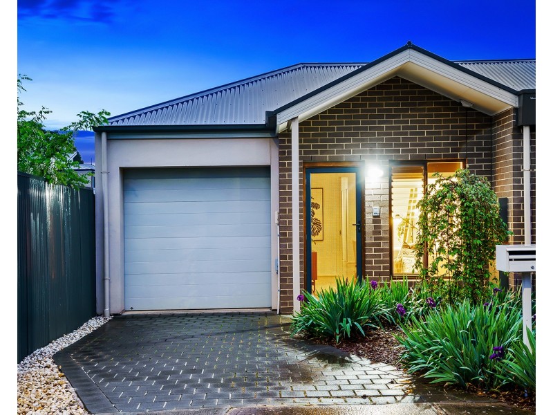 5 Carlisle Avenue, Morphettville SA 5043
