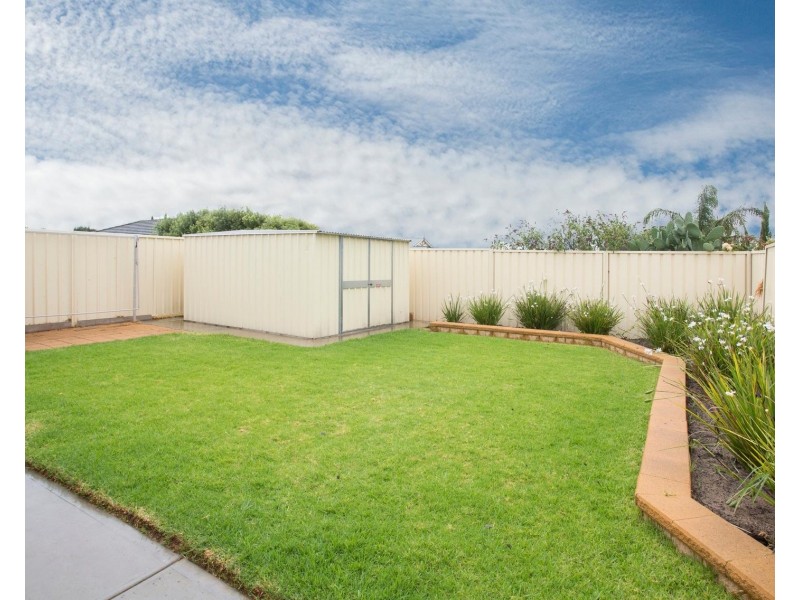 9 Scott Ave, Clovelly Park SA 5042