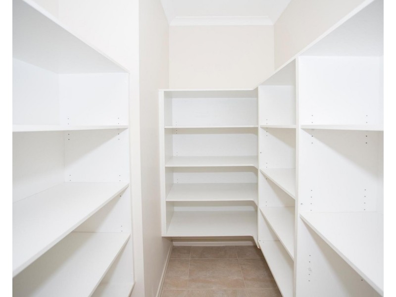 9 Scott Ave, Clovelly Park SA 5042