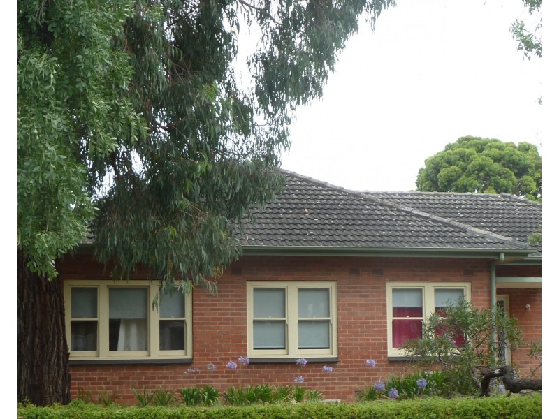 8 Bedford Square, Colonel Light Gardens SA 5041