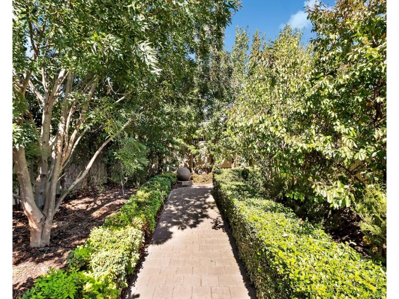 3 Moore Street, Pasadena SA 5042