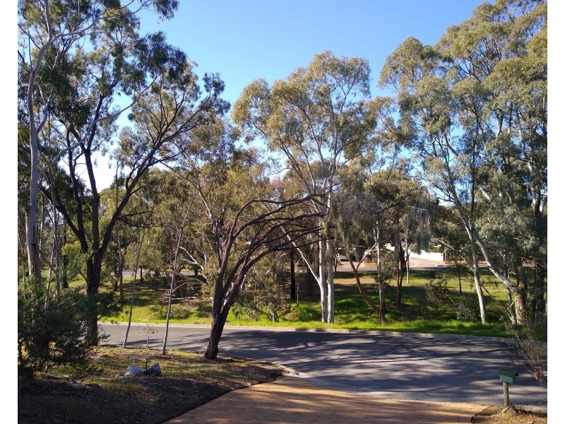 16 Eyre Boulevard, Pasadena SA 5042