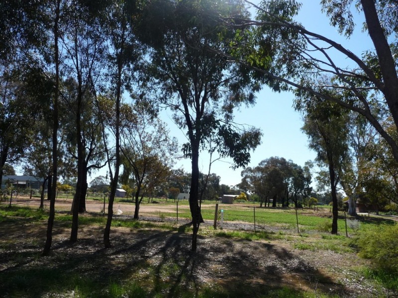 15 Kiely Rd, Moama NSW 2731