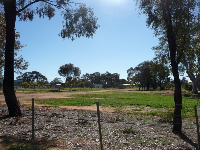 15 Kiely Rd, Moama NSW 2731