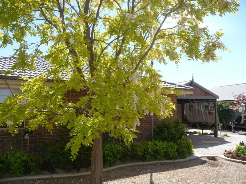 7 Caroline Court, Echuca VIC 3564