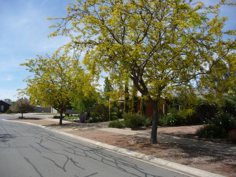 7 Caroline Court, Echuca VIC 3564
