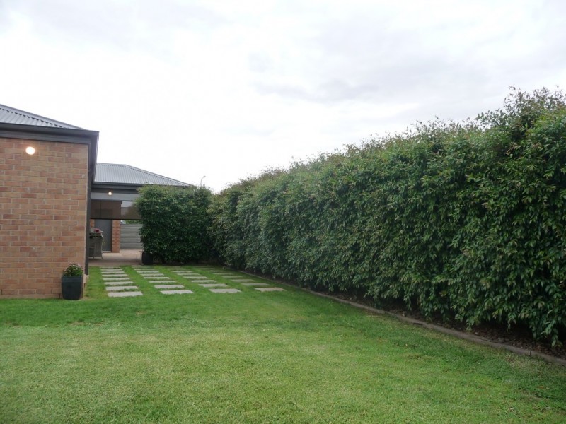 79 SHETLAND DRIVE, Moama NSW 2731