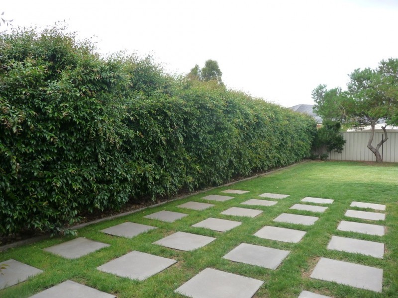 79 SHETLAND DRIVE, Moama NSW 2731