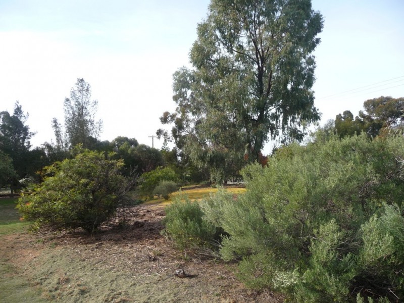 26 Kilkerrin Drive, Moama NSW 2731