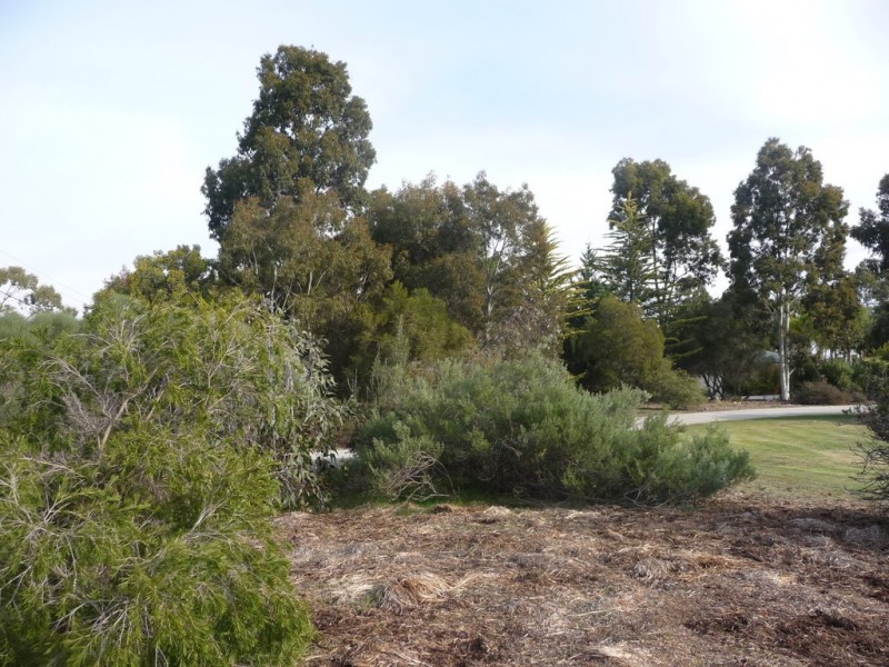 26 Kilkerrin Drive, Moama NSW 2731