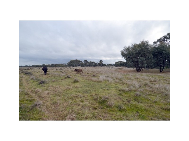 1121 Murray Valley Highway, Echuca VIC 3564