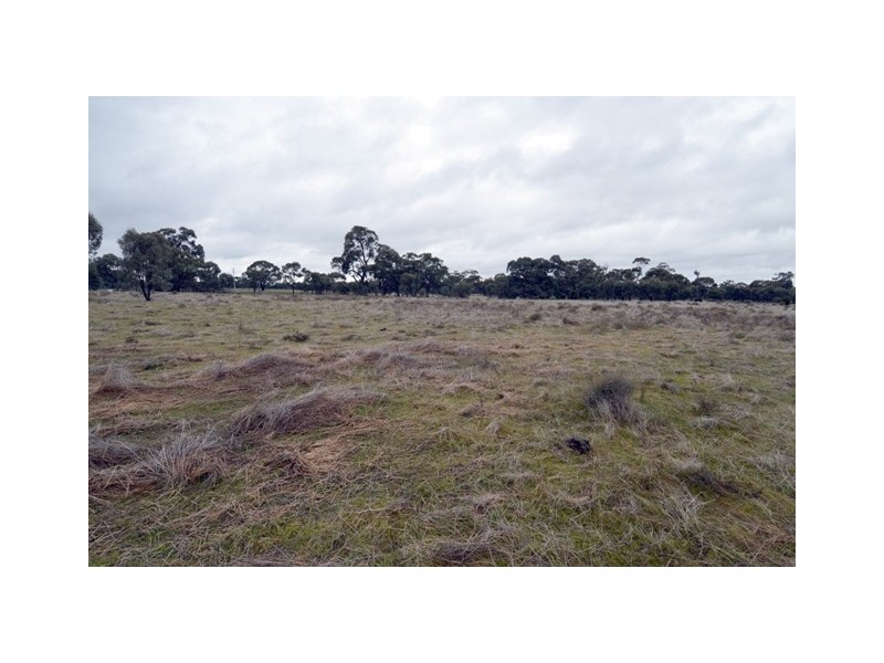 1121 Murray Valley Highway, Echuca VIC 3564