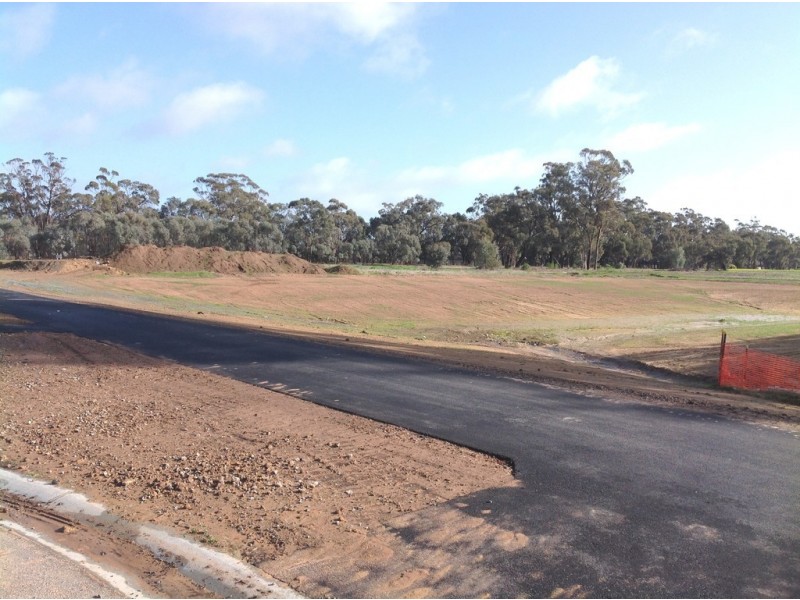 10 Marion Court, Moama NSW 2731