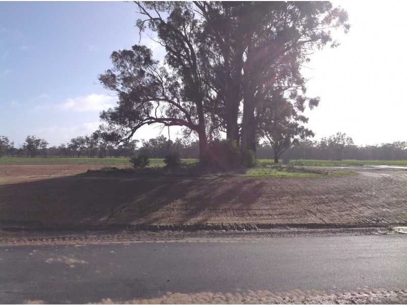 10 Marion Court, Moama NSW 2731